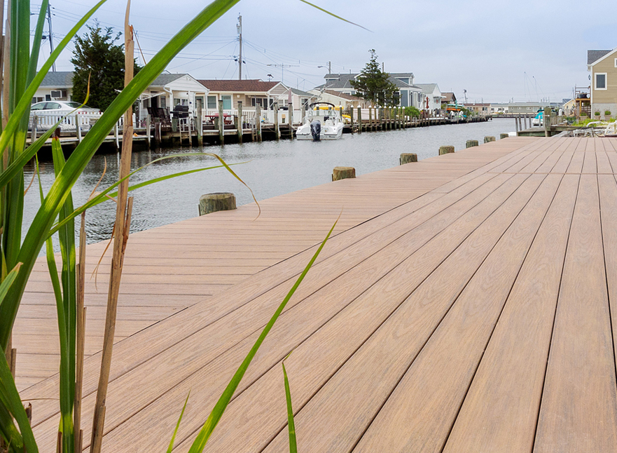 Wolf Serenity Ashland