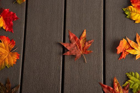 5 Reasons Why Fall is the Best Time to Build a Deck - The Ultimate Deck Shop