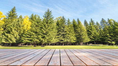 Exploring the Best Wood Types for Canadian Decks: Pros and Cons