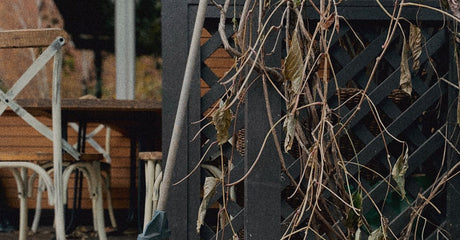 Deck Cleaner for Spring: How to Choose the Right Wash for Wood, Composite, and PVC