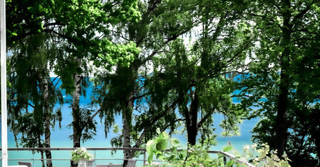 Trex Decking Canada: Color, Line, and Stock Questions to Ask Before Buying