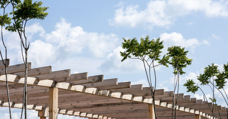 Where can I buy a pergola or shade structure kit and get help choosing anchors, posts, canopy, and layout for my backyard?