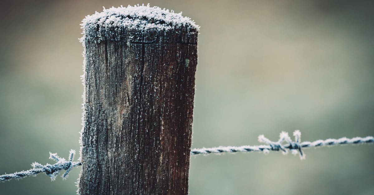 How Deep Should Fence Posts Be in Saskatchewan? A Frost-Depth Reality Check