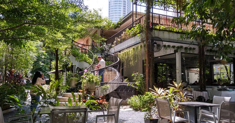 Where to Buy Trex Decking in Canada: In-Stock Colors, Delivery Times, and Alternatives