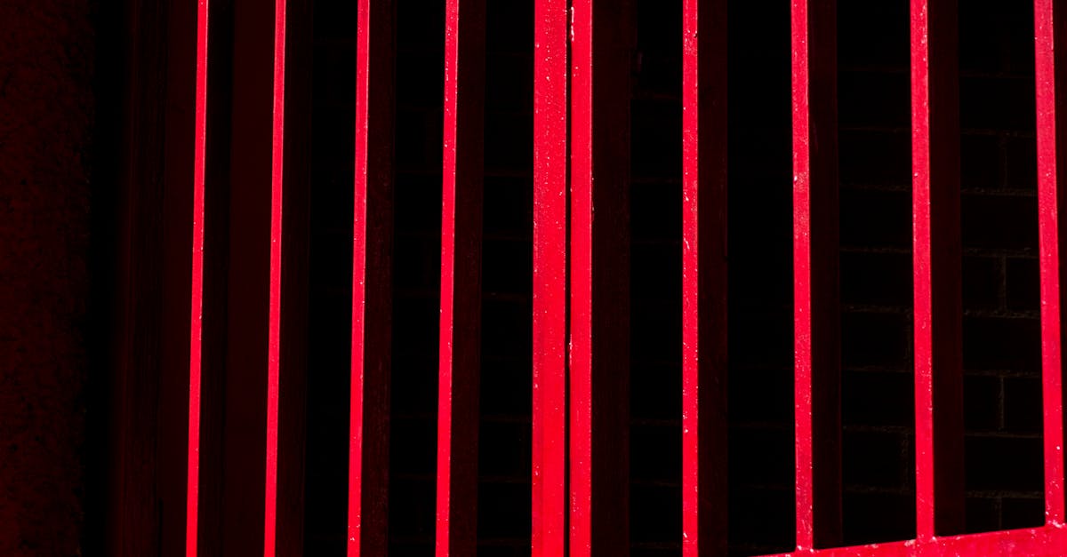 How to Build a Modern Privacy Fence in Canada: Framing, Fastening, and Lighting Tips for a Durable, Stylish Boundary