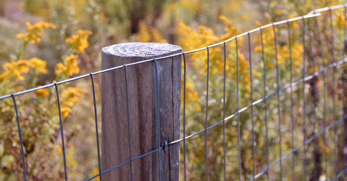 What fence style is cheapest to build right now without looking like a temporary builder-grade fence?