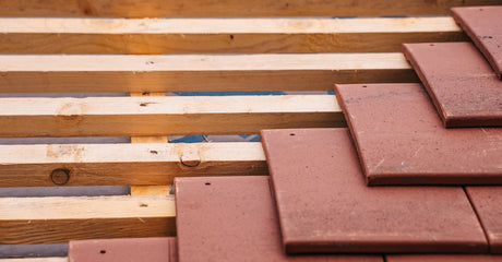 Deck Shop Buyer's Guide: What to Look for When Choosing a Deck Supplier in Saskatchewan