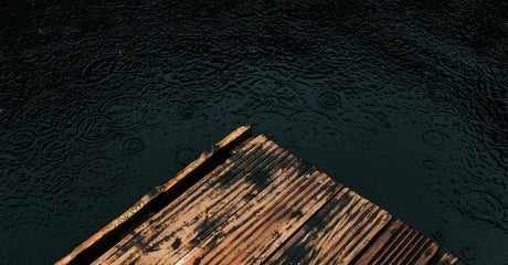 Trex Decking Price Canada: Line-by-Line Cost Breakdown and Where to Buy