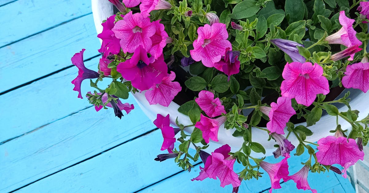 How to Create a Seamless Indoor-Outdoor Transition: Using Subtle Deck Lighting and Modern Privacy Screens