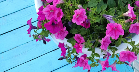 How to Create a Seamless Indoor-Outdoor Transition: Using Subtle Deck Lighting and Modern Privacy Screens