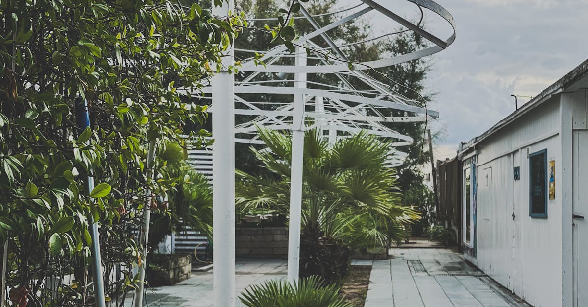 How to Design the Perfect Outdoor Entertainment Zone: Shade, Lighting, and Power Solutions for Modern Decks