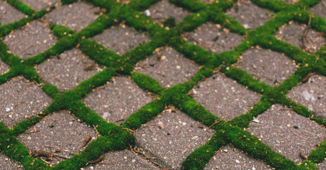 Permeable Pavers vs Traditional Pavers: Which Is Better for Drainage and Snowmelt?