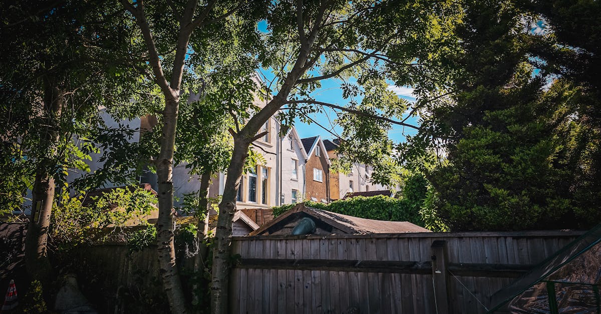 How to Create Shade and Style in Your Backyard: A Guide to Choosing and Installing Modern Shade Sails