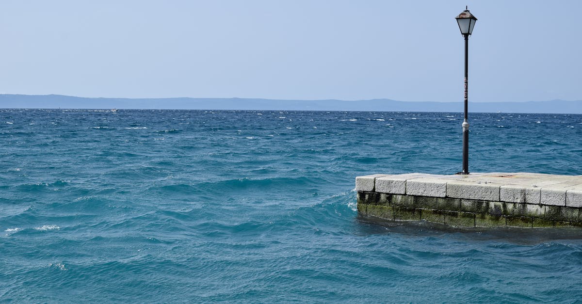 How to Light Up Trees, Paths, and Sculptures: Expert Tips for Modern Outdoor Landscape Lighting