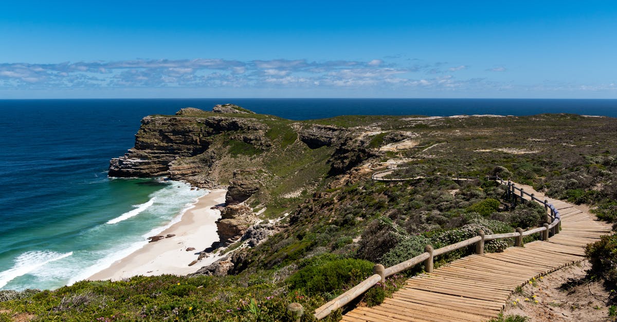 Decking Material Trends for 2025: Sustainable Options, Best Choices for Prairie Climates, and Local Sourcing in Saskatchewan