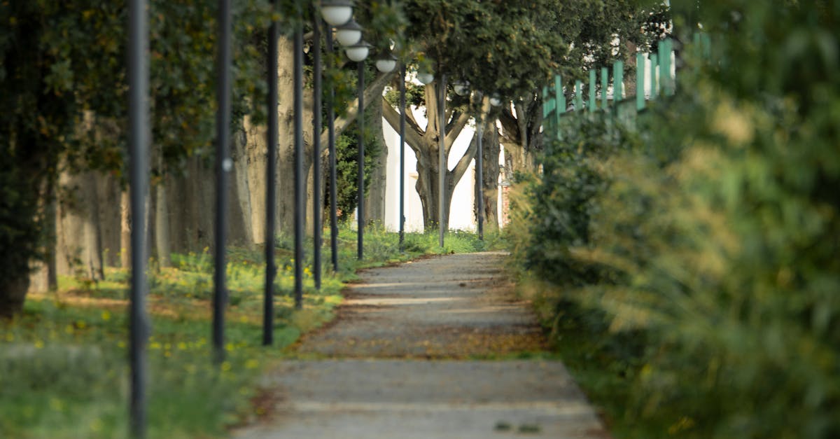 How Far Apart Should Path Lights Be on a Walkway, Driveway, or Front Entry?