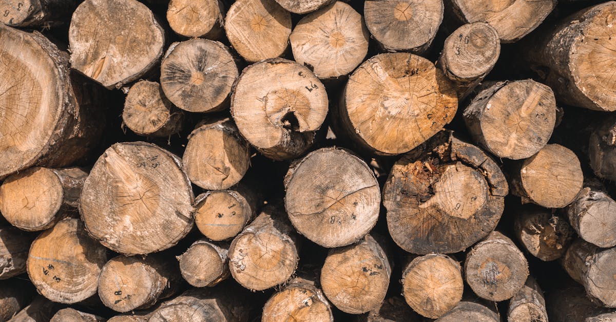 Cedar Lumber Regina: Grades, Pricing, and When to Choose Cedar Over PT