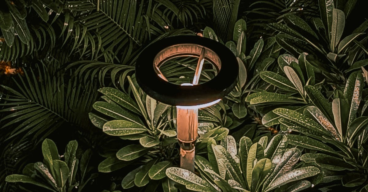 What is the best place to buy in-lite lighting in Canada if I need help choosing fixtures, cable, and transformer size?