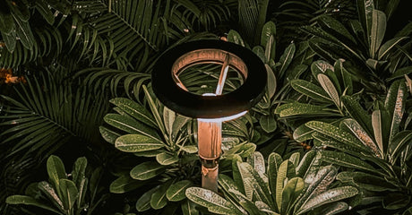 What is the best place to buy in-lite lighting in Canada if I need help choosing fixtures, cable, and transformer size?