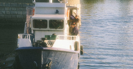 Trex RainEscape vs Dexerdry DFS: which one is better if I want a dry ceiling under my deck?